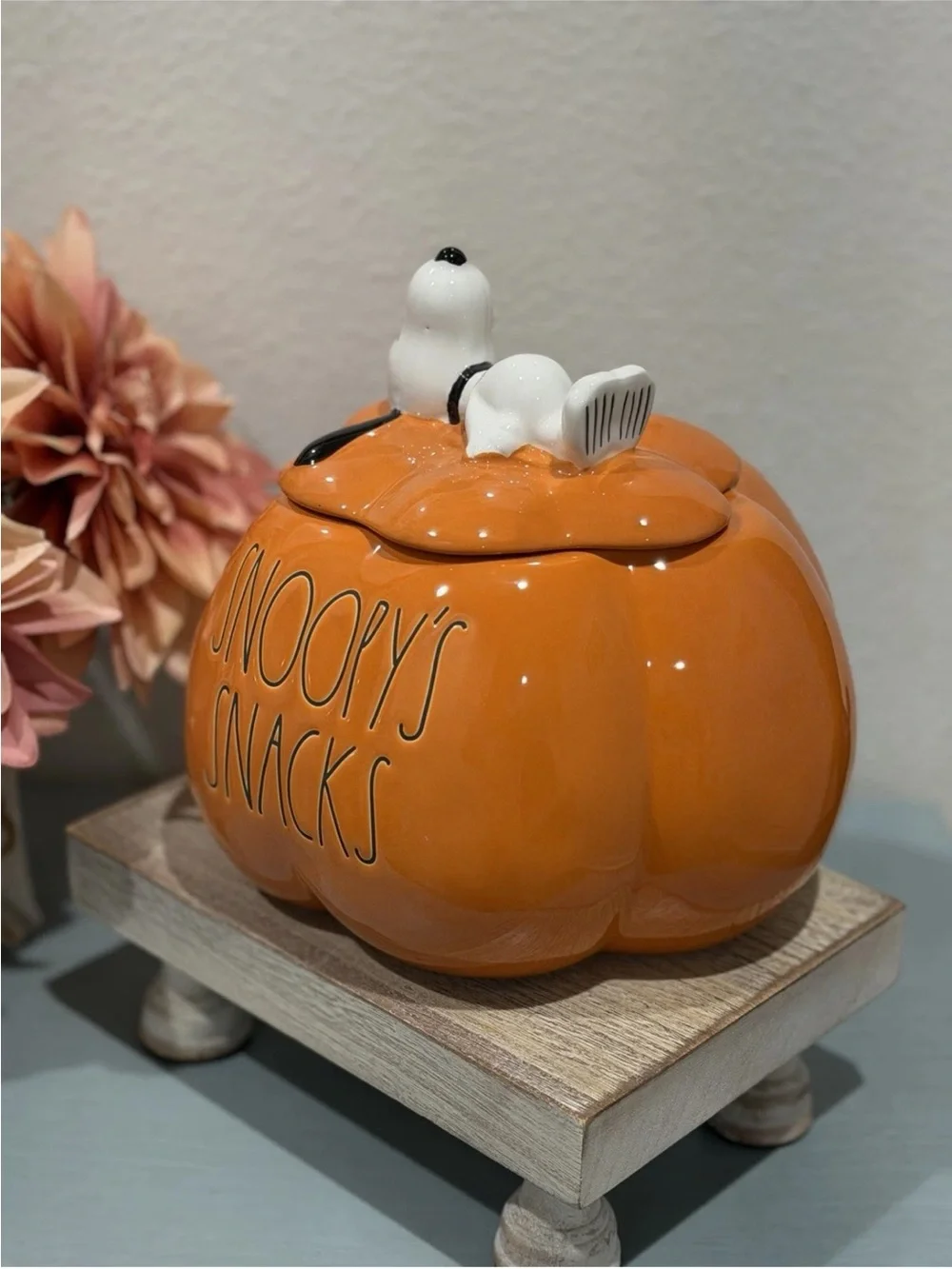 Rae Dunn x Peanuts Snoopy's Snacks Halloween Pumpkin Cookie Jar. Pet Treats